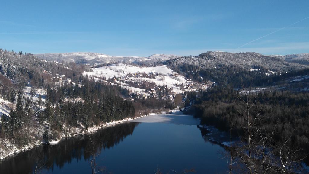 Rezydencja Prezydenta Rp Zamek W Wisle Вісла Екстер'єр фото