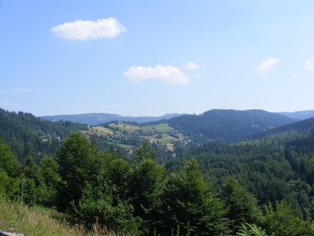 Rezydencja Prezydenta Rp Zamek W Wisle Вісла Екстер'єр фото